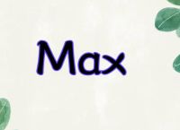 max什么意思（MAX代表什么意思?）